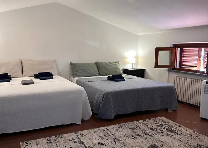 Rio Grande * 마사로라